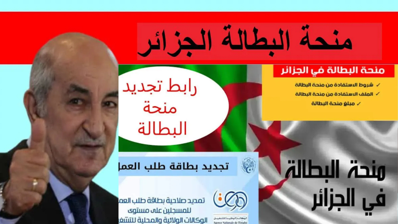 خطوات التسجيل في منحة البطالة في الجزائر 2025 عبر الوكالة الوطنية للتشغيل minha.anem.dz