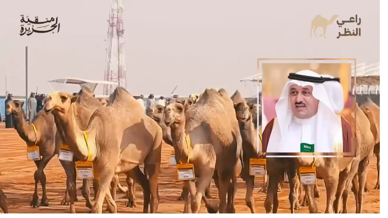 رابط منصة راعي النظر للاشتراك في مسابقة منقية الجزيرة