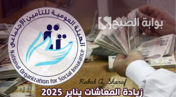 زيادة الحد الأدنى للمعاشات في يناير 2025