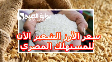 سعر الأرز الشعير الآن 2024 للمستهلك المصري
