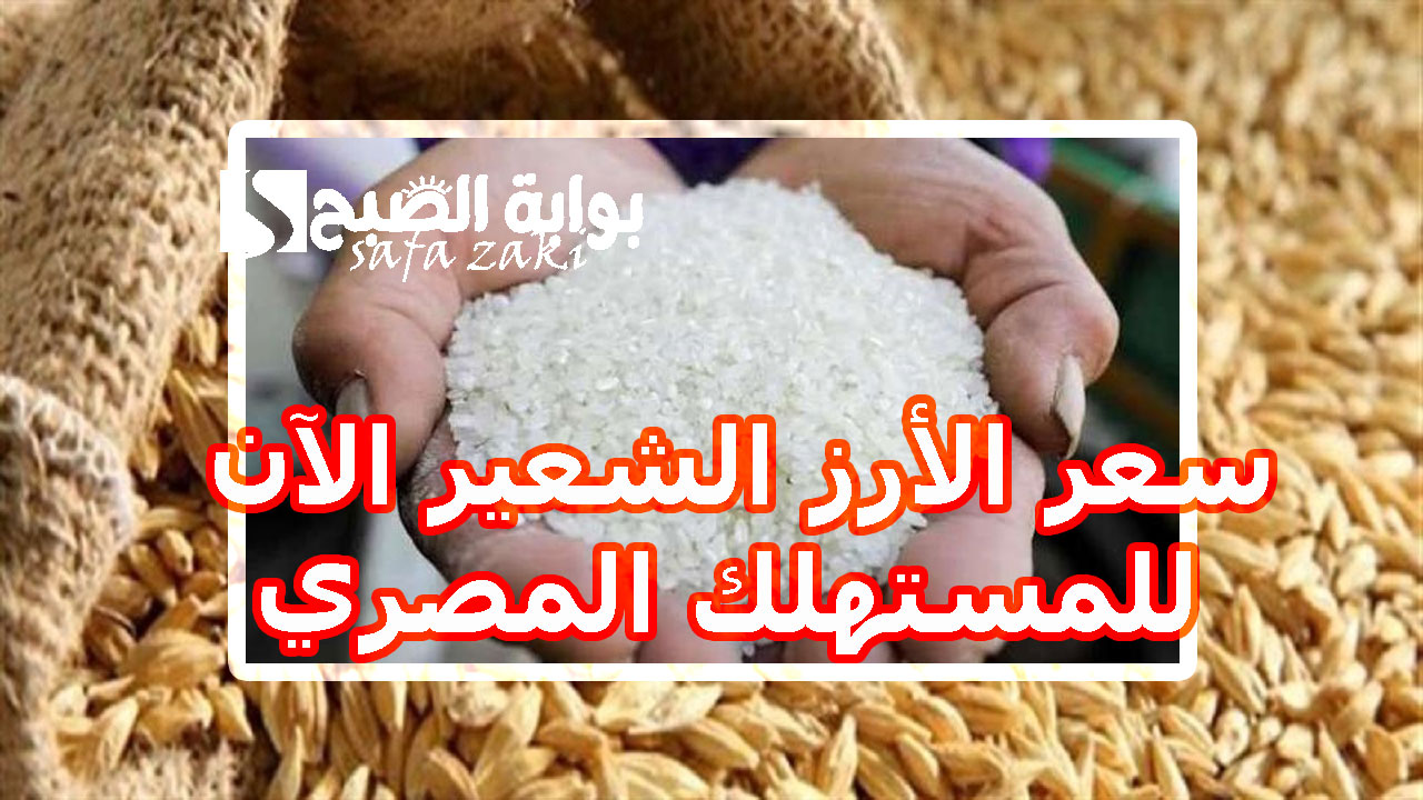 بكام انهاردة ؟.. سعر طن الأرز الشعير اليوم الأحد 1 -12-2024 و أسعار الأرز في السوق المحلي ومنافذ التموين وسوق اليوم الواحد