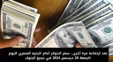سعر الدولار أمام الجنيه المصري اليوم