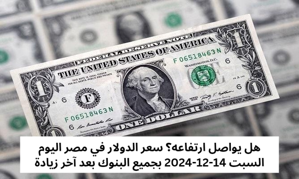 هل يواصل ارتفاعه؟ سعر الدولار في مصر اليوم السبت 14-12-2024 بجميع البنوك بعد آخر زيادة 2 هل يواصل ارتفاعه؟ سعر الدولار في مصر اليوم السبت 14-12-2024 بجميع البنوك بعد آخر زيادة