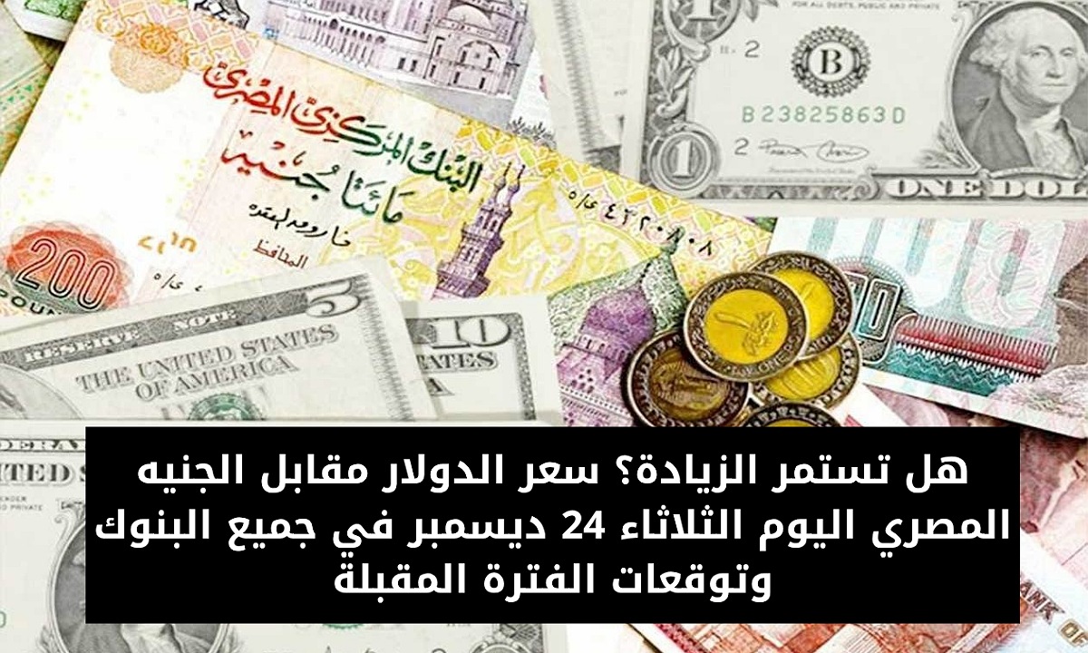 هل تستمر الزيادة؟ سعر الدولار مقابل الجنيه المصري اليوم الثلاثاء 24 ديسمبر في جميع البنوك وتوقعات الفترة المقبلة