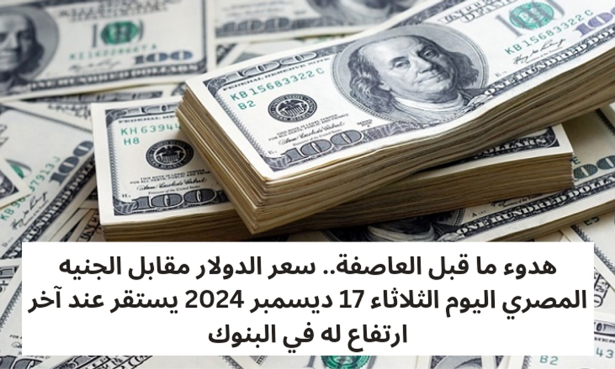 هدوء ما قبل العاصفة.. سعر الدولار مقابل الجنيه المصري اليوم الثلاثاء 17 ديسمبر 2024 يستقر عند آخر ارتفاع له في البنوك