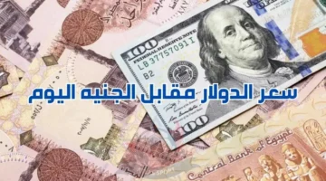 سعر الدولار مقابل الجنيه المصري يتجاوز التوقعات ويقترب من حاجز الـ50 جنيهًا