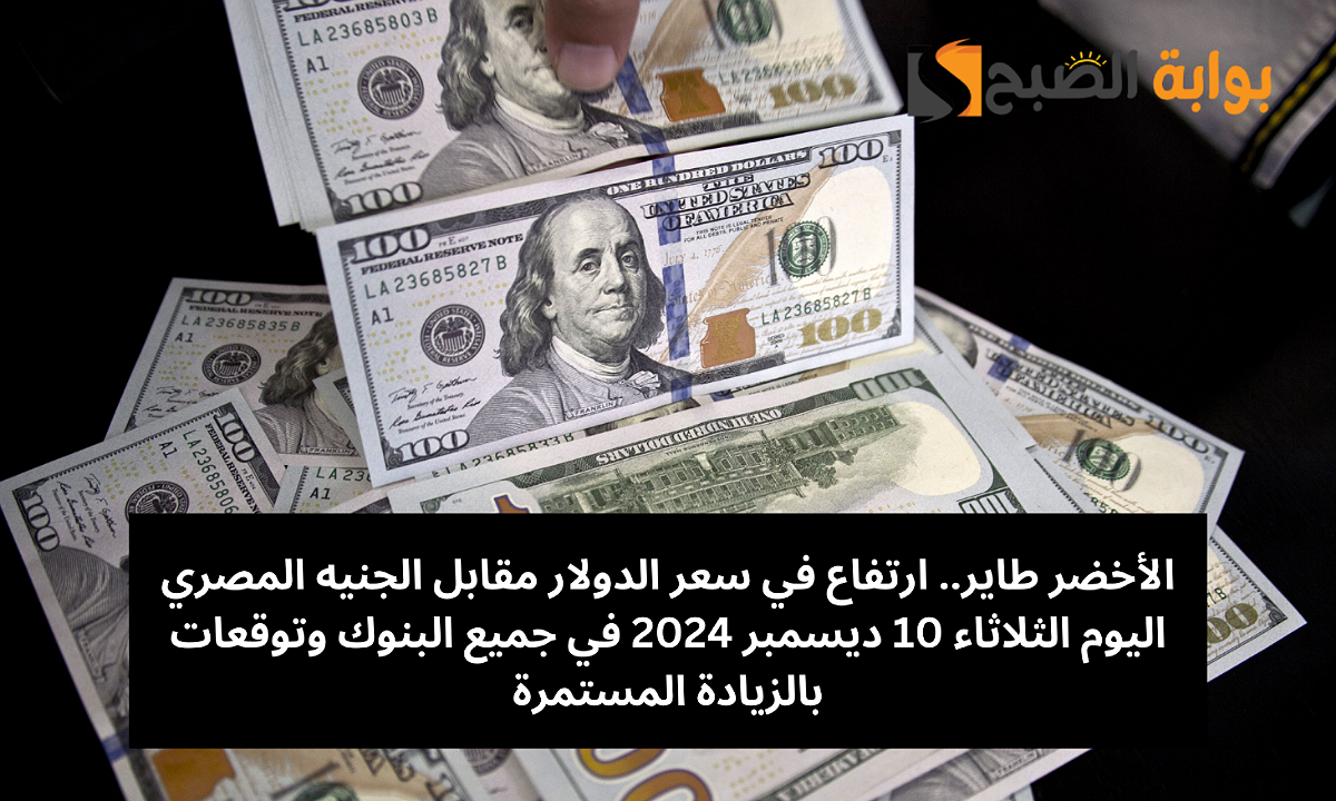الأخضر طاير.. ارتفاع في سعر الدولار مقابل الجنيه المصري اليوم الثلاثاء 10 ديسمبر 2024 في جميع البنوك وتوقعات بالزيادة المستمرة
