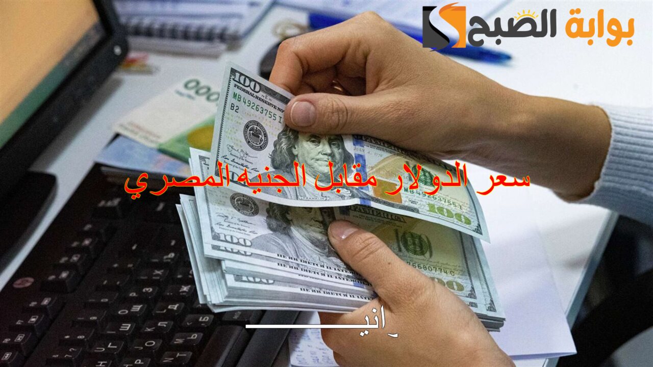 وصل كام بعد الزيادة الأخيرة.. سعر الدولار مقابل الجنيه المصري اليوم الخميس 5/12/2024 في البنوك المصرية 5 وصل كام بعد الزيادة الأخيرة.. سعر الدولار مقابل الجنيه المصري اليوم الخميس 5/12/2024 في البنوك المصرية