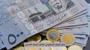 سعر الريال السعودي مقابل الجنيه المصري اليوم الجمعة 20 ديسمبر 2024 في البنوك
