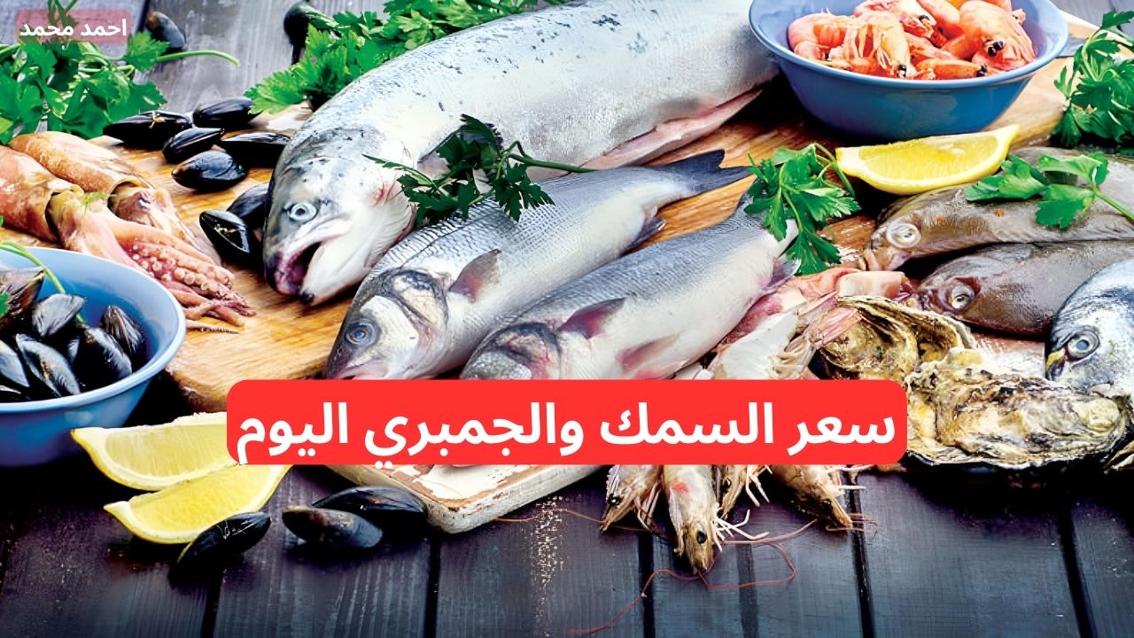 بكام الكيلو النهاره؟.. سعر السمك اليوم الأحد 1-12-2024.. أسعار الجمبري اليوم والبلطي في السوق!