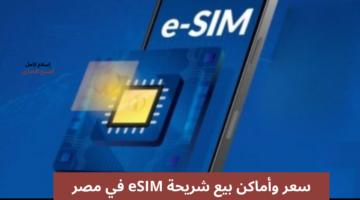 سعر شريحة eSIM في مصر 1