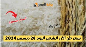 سعر طن الأرز الشعير اليوم 1