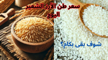 سعر طن الأرز الشعير اليوم