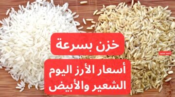 سعر طن الأرز الشعير اليوم الأحد 15 12 2024 في التعاملات