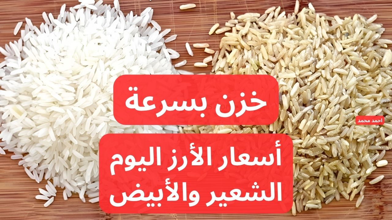 يا ترى الرفيعة والعريضة بكام.. سعر طن الأرز الشعير اليوم الأحد 15-12-2024 في التعاملات