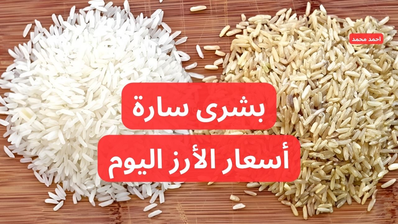 "مفاجأة في العريضة والرفيعة".. سعر طن الأرز الشعير اليوم الأحد 8-12-2024.. أسعار الأرز الأبيض اليوم 2 “مفاجأة في العريضة والرفيعة”.. سعر طن الأرز الشعير اليوم الأحد 8-12-2024.. أسعار الأرز الأبيض اليوم