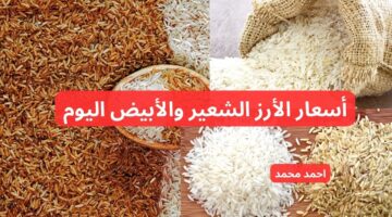 سعر طن الأرز الشعير اليوم الأربعاء 11 12 2024 في التعاملات
