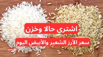 سعر طن الأرز الشعير اليوم الأربعاء 4 12 2024. كم سعر الأرز الأبيض؟
