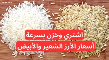 سعر طن الأرز الشعير اليوم الاثنين 2 12 2024