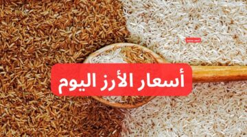 سعر طن الأرز الشعير اليوم الاثنين 9 12 2024 في التعاملات و أسعار الأرز الأبيض