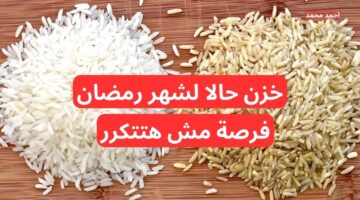 سعر طن الأرز الشعير اليوم الخميس 5 12 2024 والأبيض في التعاملات