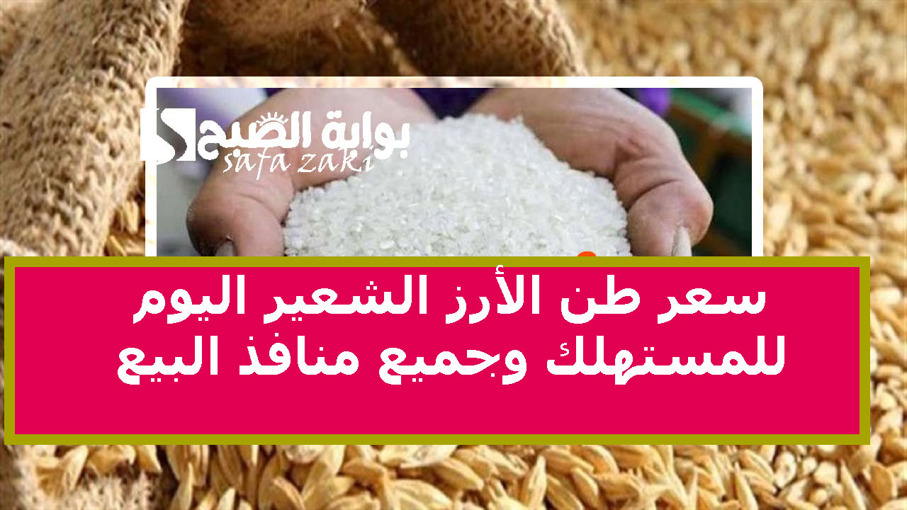 شعبة الأرز تُعلن كم سعر طن الأرز الشعير اليوم الأربعاء 4-11-2024  للمستهلك وجميع منافذ البيع