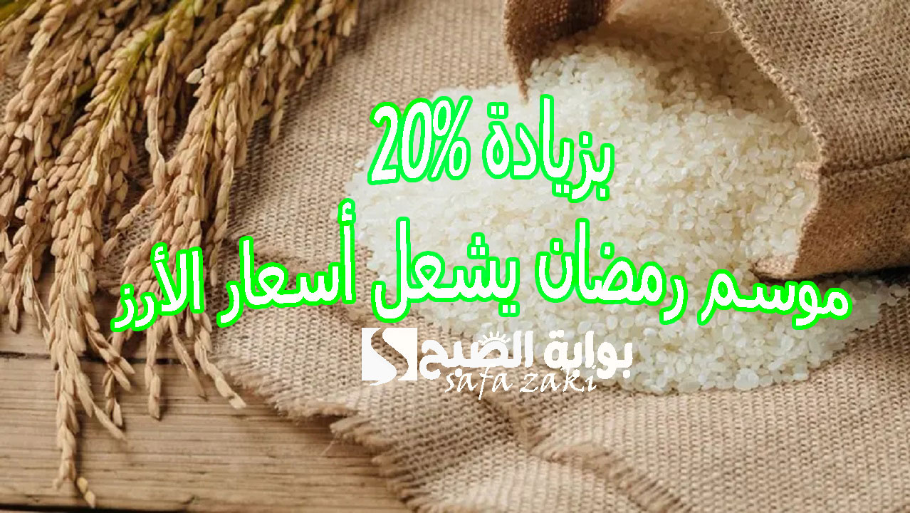 بزيادة 20% موسم رمضان يشعل أسعار الأرز.. سعر طن الأرز الشعير اليوم في مصر الخميس 26-12-2024 في السوق المحلية