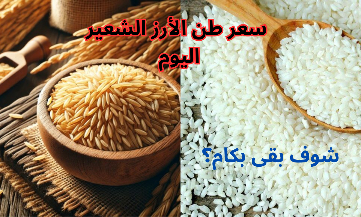 "خزني لرمضان".. سعر طن الأرز الشعير اليوم السبت 28 ديسمبر 2024.. وأسعار السلع الأساسية في السوق المصرية "آخر تحديث" 5 “خزني لرمضان”.. سعر طن الأرز الشعير اليوم السبت 28 ديسمبر 2024.. وأسعار السلع الأساسية في السوق المصرية “آخر تحديث”