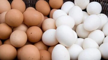 سعر كرتونة البيض الأبيض والأحمر والبلدي اليوم