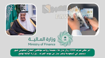 صرف 1200 ريال بدل غلاء معيشة رواتب موظفين