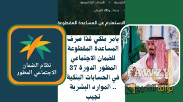 صرف المساعدة المقطوعة للضمان