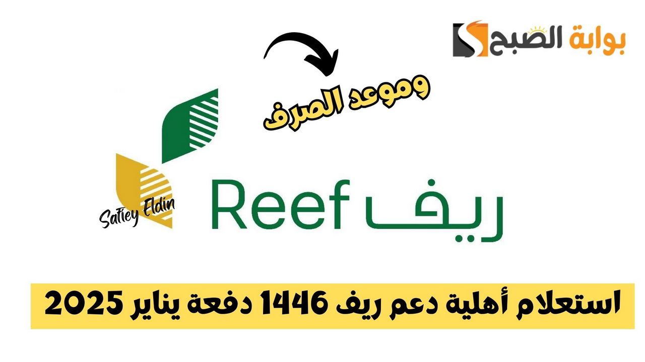 قبل الصرف.. طريقة استعلام أهلية دعم ريف 1446 دفعة يناير 2025 2 قبل الصرف.. طريقة استعلام أهلية دعم ريف 1446 دفعة يناير 2025