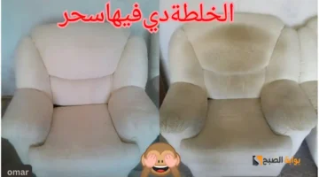 طريقة تنظيف الركنة والانترية بدون ماء