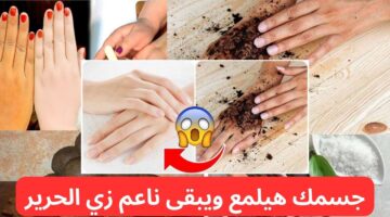 طريقة عمل الدلكة السودانية في البيت