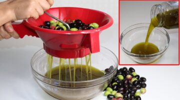 طريقة عمل زيت الزيتون في المنزل