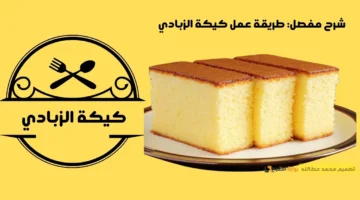 طريقة عمل كيكة الزبادي
