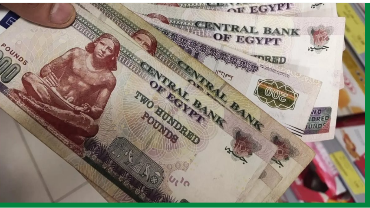 مليون و164 ألف عامل.. موعد صرف منحة العمالة غير المنتظمة وخطوات الاستعلام