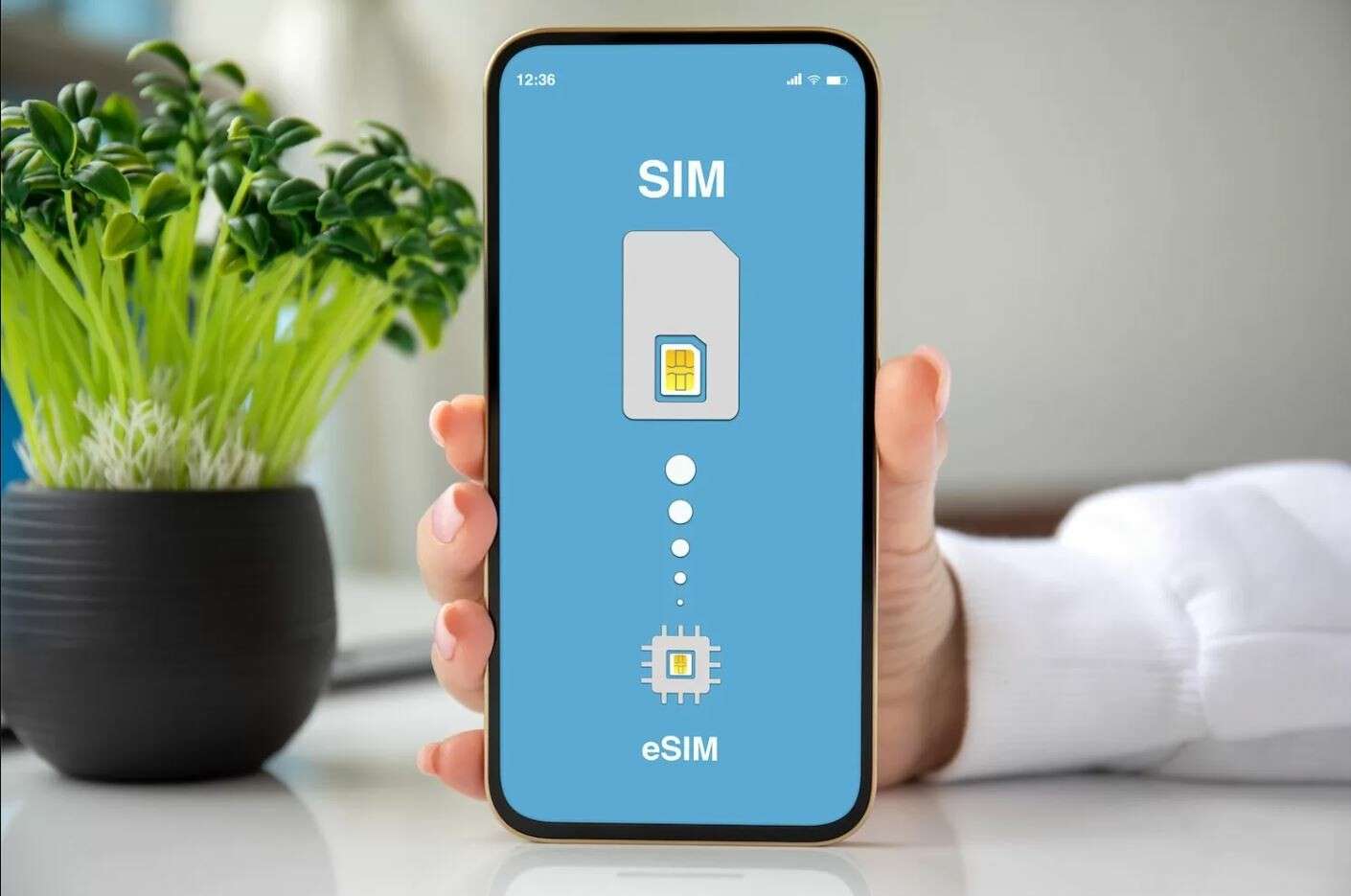 رسمياً في مصر.. قائمة الهواتف التي تدعم شريحة eSIM وأسعارها