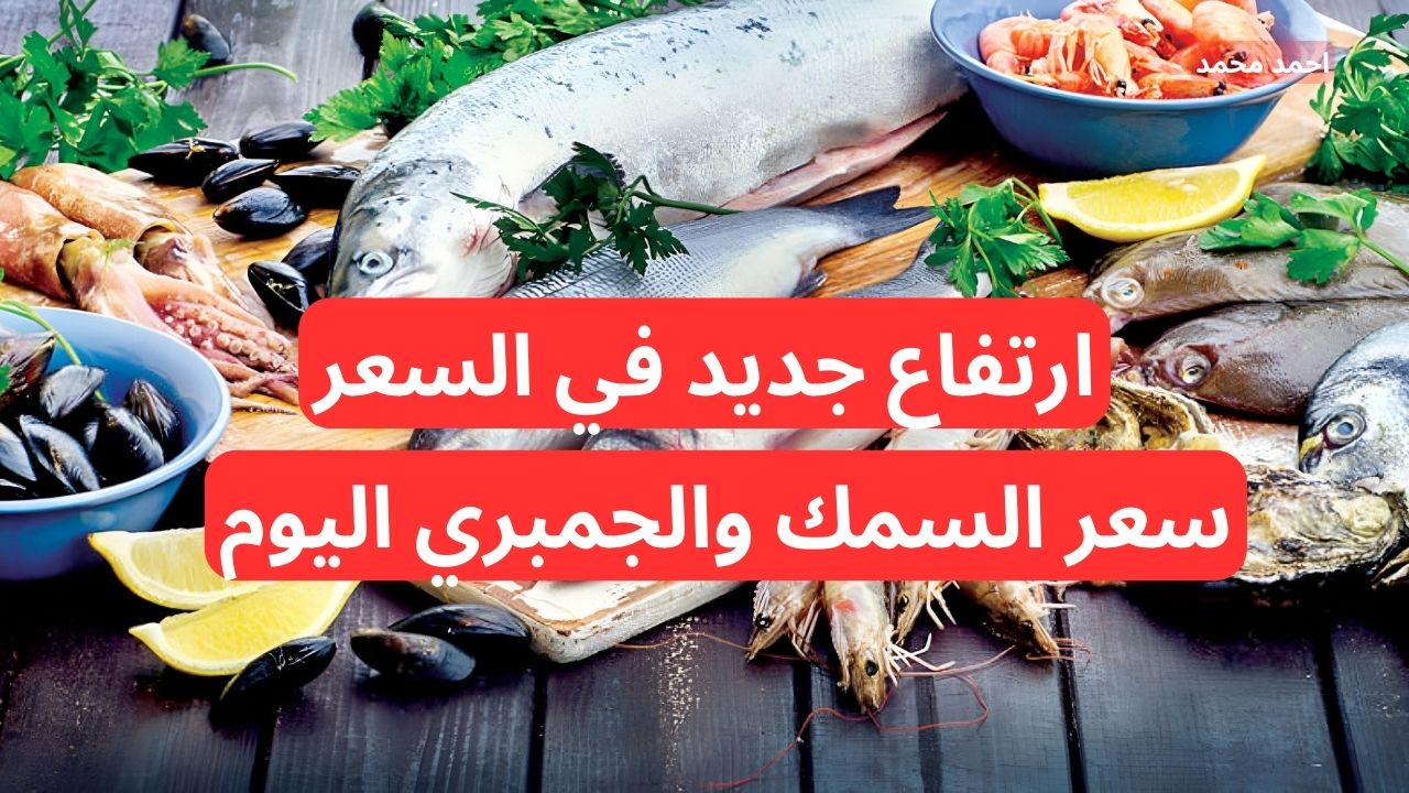 “ارتفاع جديد”.. قفزة في سعر السمك والجمبري اليوم الخميس 5-12-2025 في السوق!