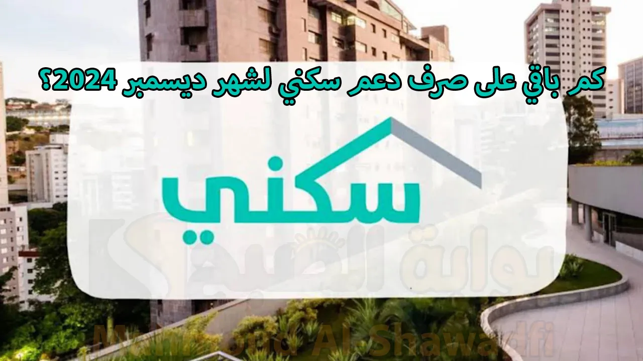 كم باقي على صرف دعم سكني لشهر ديسمبر 2024؟.. موعد نزول الدعم بالميلادي والهجري