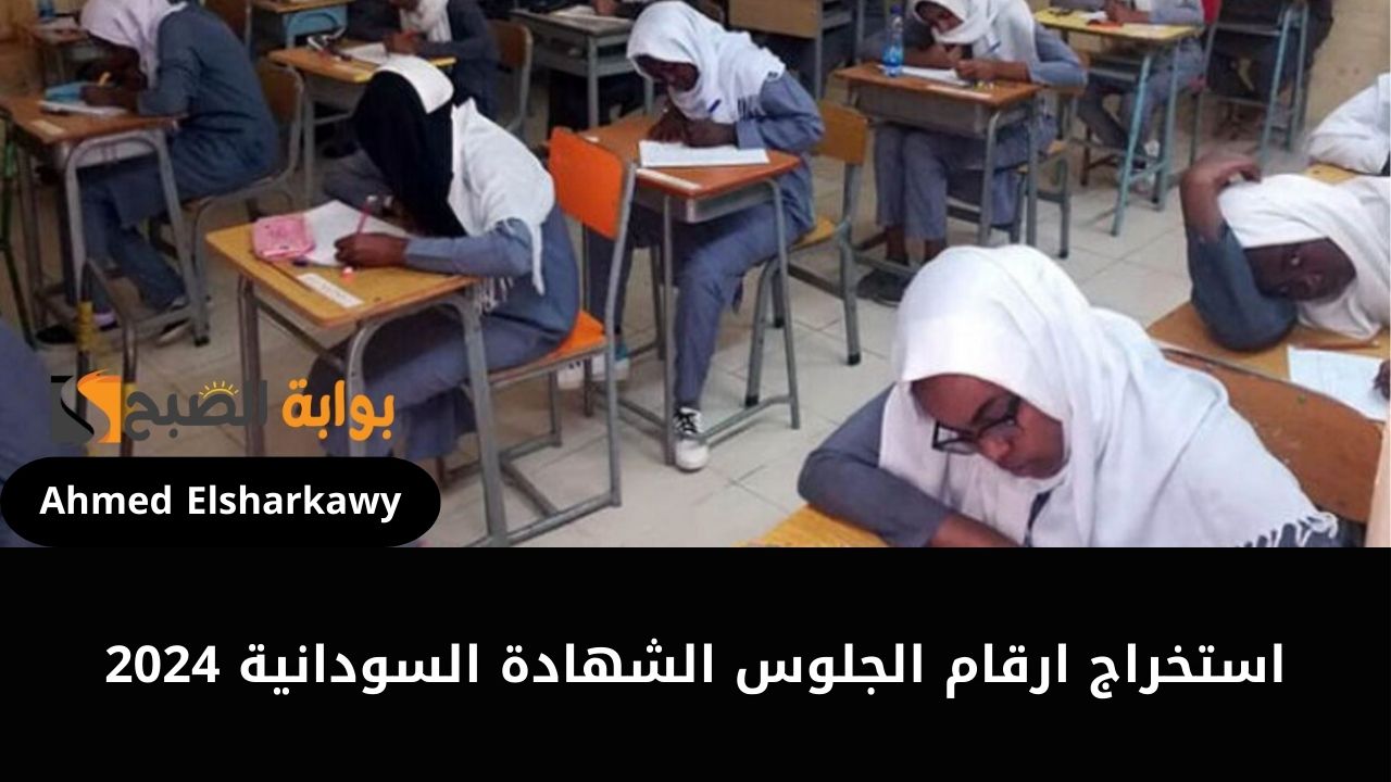 “pro.ums-sd” كيفية استخراج ارقام الجلوس الشهادة السودانية 2024 للطلاب خارج السودان بالرقم الوطني