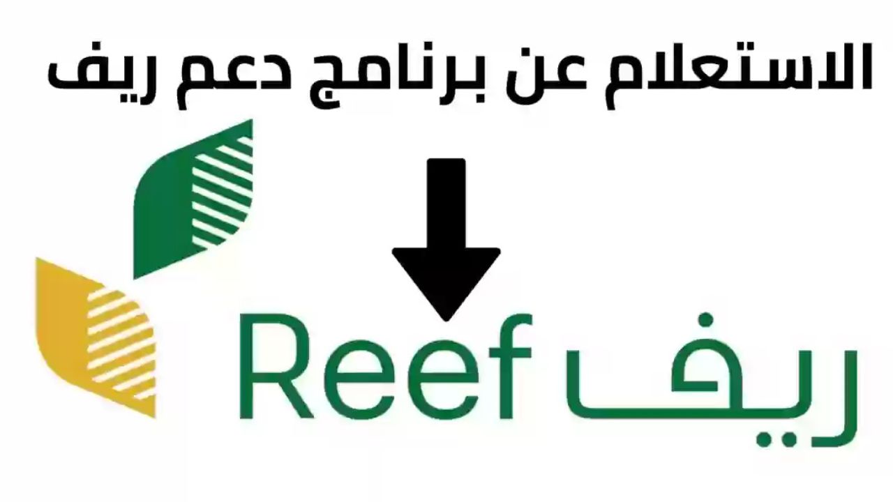 وزارة البيئة والزراعة توضح شروط استحقاق الدعم الريفي وكيفية الاستعلام عن الدعم 1446 2 وزارة البيئة والزراعة توضح شروط استحقاق الدعم الريفي وكيفية الاستعلام عن الدعم 1446