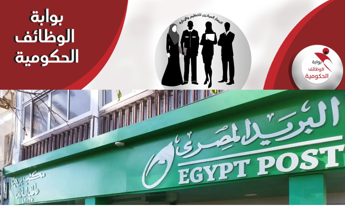 "ساعات قليلة ويبدأ التسجيل".. نظام أسئلة مسابقة وظائف البريد المصري 2024-2025.. المؤهلات والشروط والمستندات المطلوبة 5 “ساعات قليلة ويبدأ التسجيل”.. نظام أسئلة مسابقة وظائف البريد المصري 2024-2025.. المؤهلات والشروط والمستندات المطلوبة