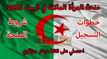 منحة المرأة الماكثة في البيت 2025. خطوات التسجيل والشروط ومبلغ المنحة 800 دينار جزائري