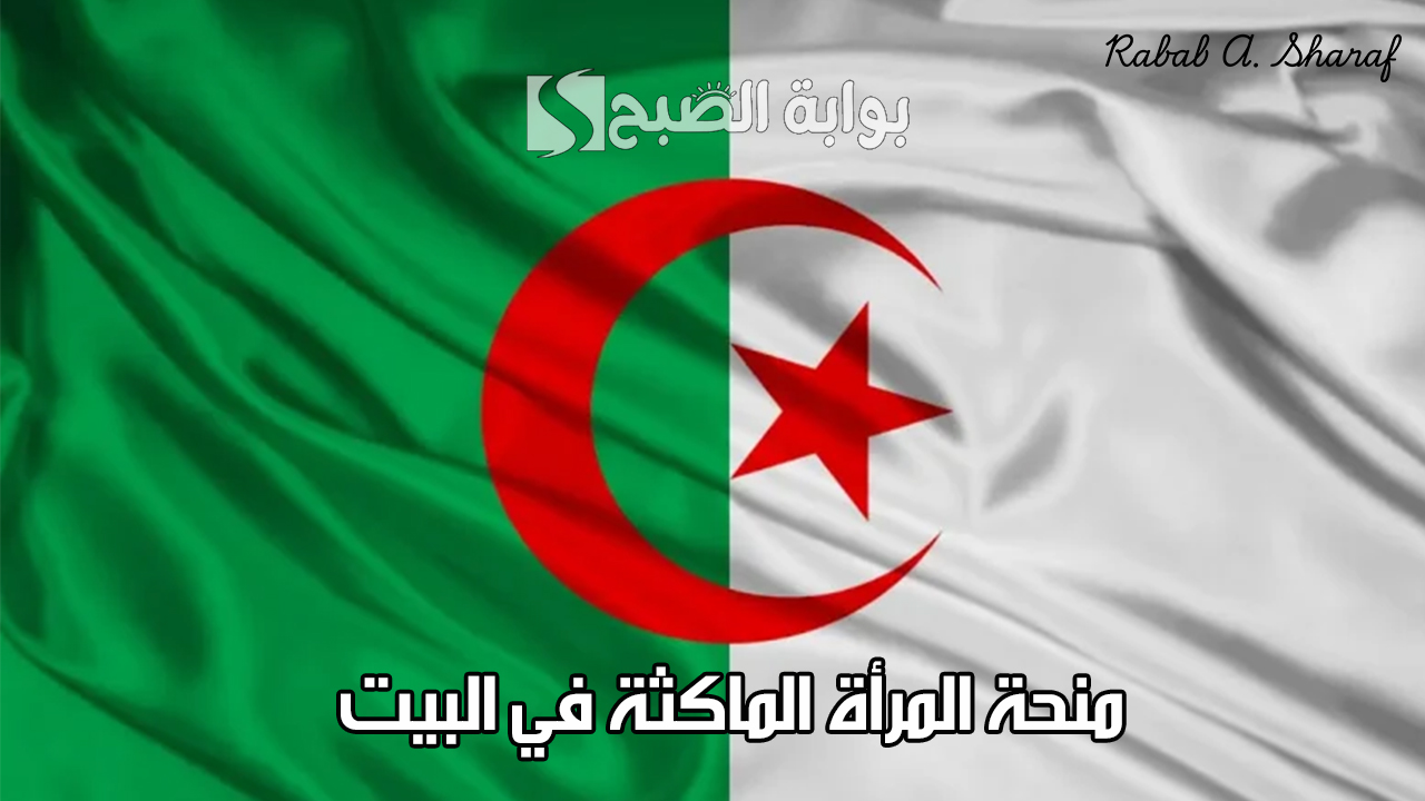 خطوات التسجيل في منحة المرأة الماكثة في البيت 2024 anem.dz وأهم الشروط والمستندات المطلوبة