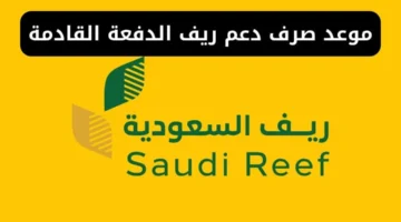 موعد صرف دعم ريف الدفعة القادمة 2024