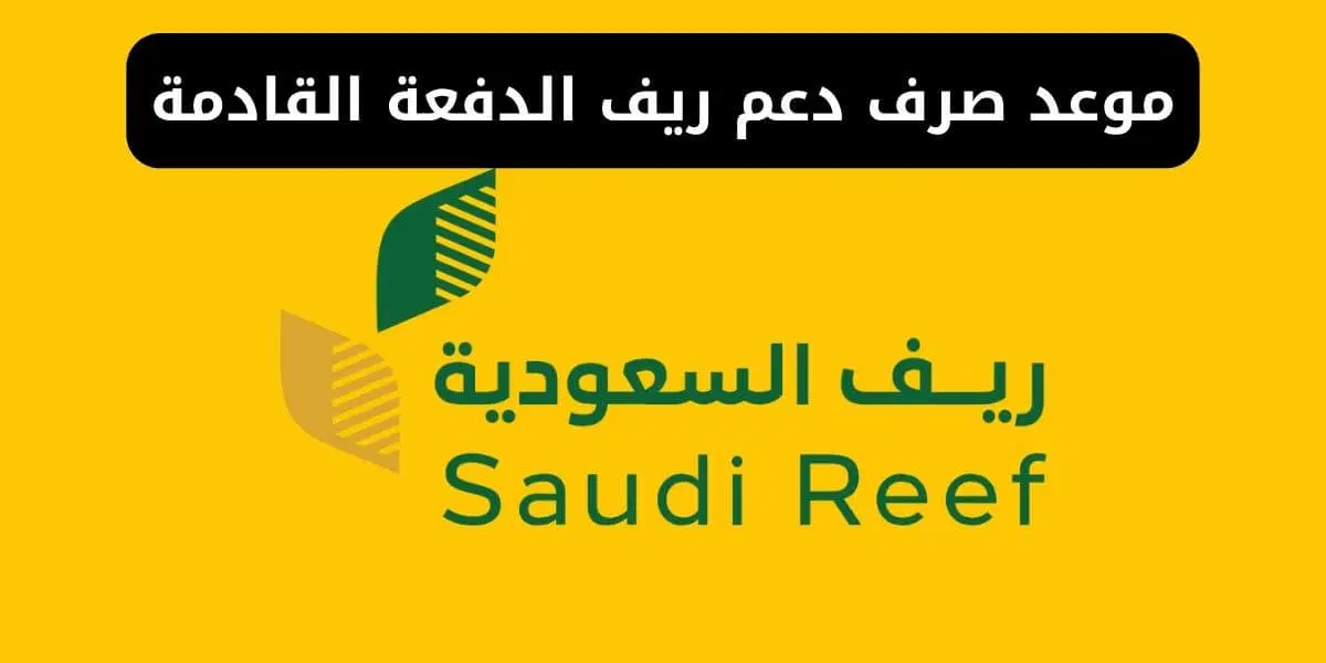 بأسهل الخطوات.. تعرف على كيفية الاستعلام عن دعم الريف لشهر يناير 2025 5 بأسهل الخطوات.. تعرف على كيفية الاستعلام عن دعم الريف لشهر يناير 2025