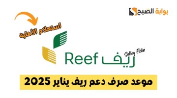 موعد صرف دعم ريف يناير 2025