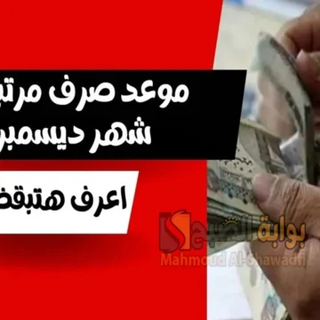 “بشرى للموظفين”.. موعد صرف مرتبات شهر ديسمبر 2024 بعد قرار وزارة المالية بتبكيرها رسميًا