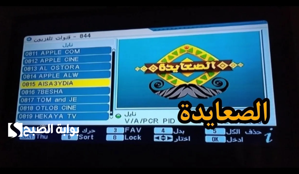 اليكم تردد قناة الصعايدة على القمر الصناعي نايل سات وعرب سات